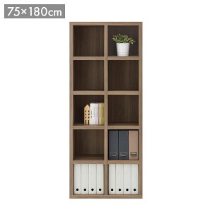 tiR `X nC^Cv VFt FBG-75T MrbgEH[ O[W uE ؖ VFt I [ Ƌ {I I ؖ bN i Y { A4 75 180cm(s)y