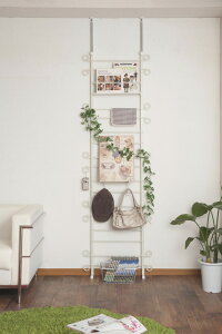 ˂ǖʃJ[[fUC_[bN 60cm zCgF(s)yz