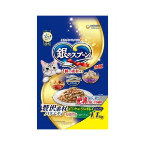 ̃Xv[ґfރoGeB 얞CɂȂLp܂EE݁Eؖ 1.1kgy|Cg10{z̃Xv[ґfރoGeB 얞CɂȂLp܂EE݁E