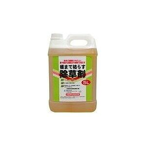 ܂Ō͂炷 5L o^ _knpy|Cg10{zyz