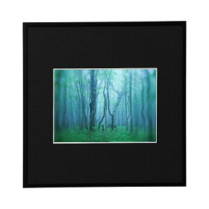 kenko �P���R�[ Kenko �A���~�z�� �M�������[ �u���b�N 2L�X�N�G�A AGY-2LSQ-BK�y���������z