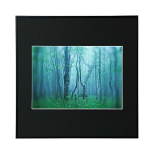 kenko �P���R�[ Kenko �A���~�z�� �M�������[ �u���b�N A4�X�N�G�A AGY-A4SQ-BK�y���������z