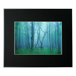 kenko �P���R�[ Kenko �A���~�z�� �M�������[ �u���b�N A3 AGY-A3-BK�y���������z