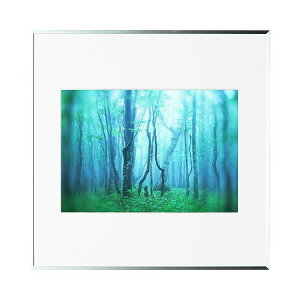 kenko �P���R�[ Kenko �A���~�z�� �M�������[ �V���o�[ A4�X�N�G�A AGY-A4SQ-SV�y���������z