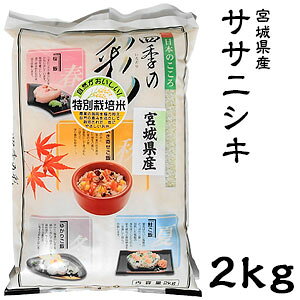 米 日本米 令和3年度産 宮城県産 ササニシキ 2kg ご注文をいただいてから精米します。【精米無料】【特別栽培米】【ささにしき】【新米】（代引き不可）