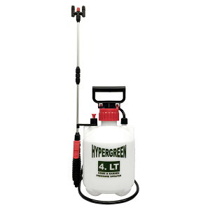 }n`Y ~ nCp[ 4L (2) pCvt(s)yz