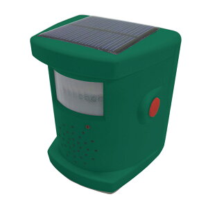 Q悯 \[[ Q Q Ғ ΍ R[ A[ 10 mZT[ y RpNg ǖ   c  X (s)yz