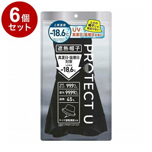 �y�P�i6�Z�b�g�z PROTECT U �{�E�V01�u���b�N �ՔM�X�q �ՔM �X�q ���P�X�q ���Ă��h�~ ���O���΍� �������y�|�C���g10�{�z�y���������z