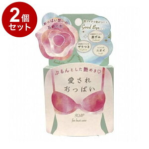 【単品2個セット】 愛されおっぱい 70g ボディケア スキンケア 角質ケア【ポイント10倍】【送料無料】
