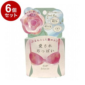 yPi6Zbgz ꂨς 70g {fBPA XLPA pPAy|Cg10{zyz