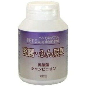 oCI ybg̃Tv EL 60y|Cg10{z