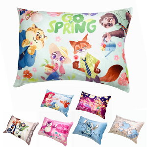 Jo[ Y[gsA v[ XeBb` gCXg[[ bcH vcF AG fBYj[ Disney ܂ P[X s[ s[P[X V^(s)yz