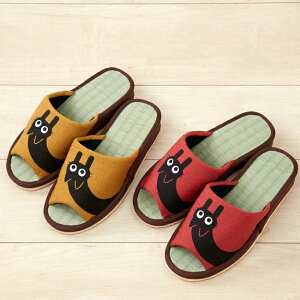 q[AbvXbpƂуlR2Fg KTCY:22~24cm(s)