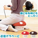 きの小いす 可愛い きのこ型 小椅子 スツール 北欧 雑貨 きのこ キノコ 正座椅子 テレビ枕 ごろ寝枕 TVゲーム用 小イ…