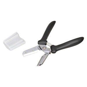 p[ ֗ IV \tgObv C-3809yz