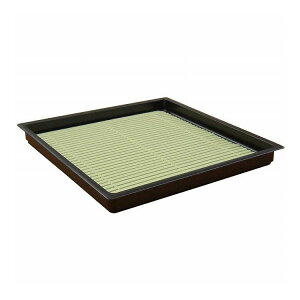 y5ZbgzR[xbN pΎM ΃Xt 19cmpΎM ΃Xt 19cmyz