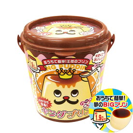 KINGプリン 巨大プリン バケツプリン パーティー クックトイ キングプリン ホームパーティー KA-00182【送料無料】