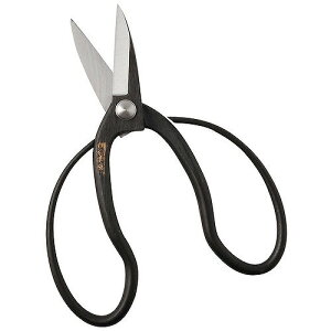 A[NhTJg _ v p 180mmyz