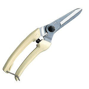 AXR[|[[V ARS(AX) I[Eh͂ Ot@~[ 140L-DX