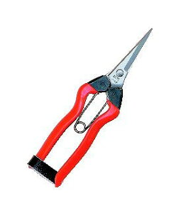 ѐ zH XeX E 185mm K-9