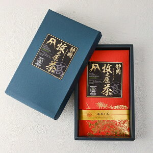 ÉqV u[Ԃv  Yn Y Hi Hו  O nO  Β É(s)y|Cg10{zyz