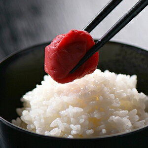 B ނ~ 500g Yn Y Hi Hו  O nO ~ ~ ~(s)y|Cg10{zyz