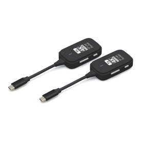 プリンストン SP Cast Pocket4K 4K対応ワイヤレスUSB-C子機×2台セット SPCASTPOCKET-C1-4KR1(代引不可)【ポイント10倍】【送料無料】