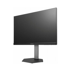 �v�����X�g�� 23.8 �t��HD�t�� �f�B�X�v���C ���@�\�X�^���h 120Hz ADS USB Type-C���� �u���b�N �u���b�N PTF-B242WS-BK�y���������z