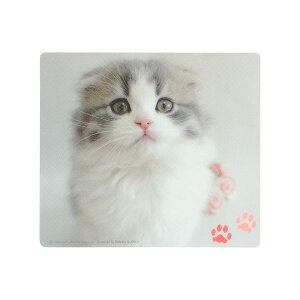 TTvC }EXpbh(XReBbVtH[h) MPD-215E(s)