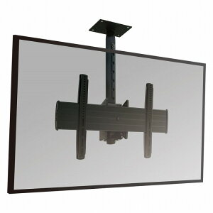 CHIEF fBXvC}EgEV݃^Cv ^p V[Ov[gE|[ ώ 510~688mm LCM1U-018024K(s)yz