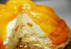 ςt[eB[ ґ IW݂^g (s)yⓀցz