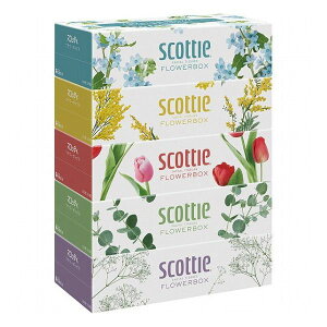 XRbeB eBV[ t[{bNX 250g(5pbN) 41342 䏊EpiE[ ƒpi ƒՕi(s)y|Cg10{z