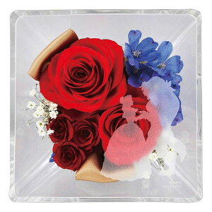 エテルネルフルール ディズニープリンセス(美女と野獣) 2022DO-002SH 室内装飾品 花・グリ-ン ア-トアレンジ花(代引不可)【ポイント10倍】【送料無料】