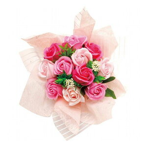 XJ[bgu[P(\[vt[) LfBsN FDC3NSCK i G ̑G(s)y|Cg10{zyz