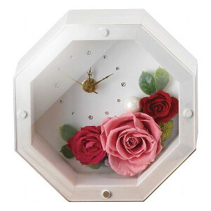 MOLY �A���e�B�[�N�z���C�g(�v���U�[�u�h�t�����[) �s���N ���������i �ԁE�O��-�� �h���C�A�����W��(����s��)�y�|�C���g10�{�z�y���������z