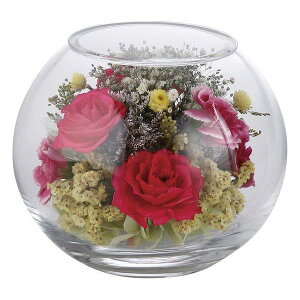 �{�g���t�����[�{�[�� 1000124718 ���������i �ԁE�O��-�� �h���C�A�����W��(����s��)�y�|�C���g10�{�z�y���������z