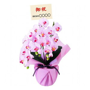 A[eBtBVt[ 3{~jӒ(Dt/) x_[ ncr-minipo-lv-fd i ԁEO- A-gAW(s)y|Cg10{zyz