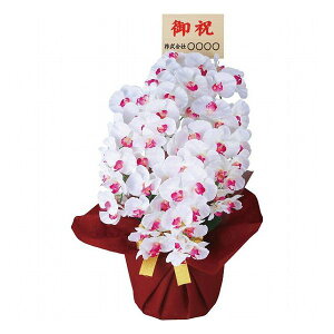 A[eBtBVt[5{Ӓ(Dt/) zCgr[eB[ ncr-24019-5-wb-fd i ԁEO- A-gAW(s)y|Cg10{zyz