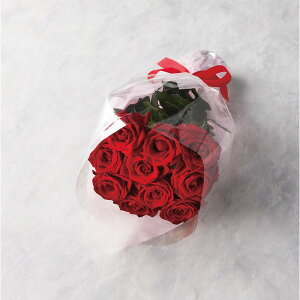 ỏԑ 21{100{܂ł̂\ bh 19RD21-100 i ԁEO- ԉԑ(s)y|Cg10{z