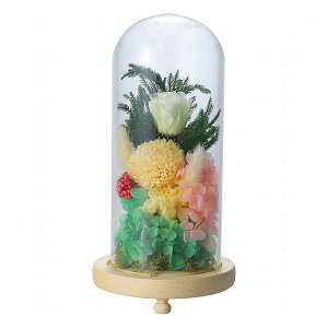 KXh[AWg H C20030L i ԁEO- A-gAW(s)y|Cg10{zyz