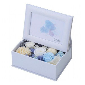 vU[uht[ z u[ ncr-25-bk05b i ԁEO-(s)y|Cg10{zyz