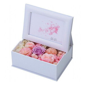 vU[uht[ z sN ncr-25-bk05p i ԁEO-(s)y|Cg10{zyz