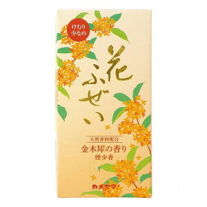 J} Ԃӂ  ؍ Ԃӂ I10640300 䏊EpiE[ ƒpi ƒՕi(s)y|Cg10{z