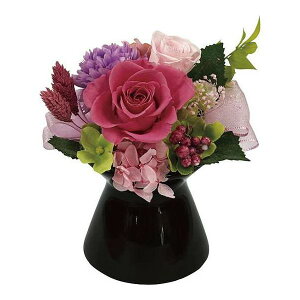 �ʉ�(�v���U�[�u�h�t�����[) bc-13571-P(����s��)�y�|�C���g10�{�z�y���������z