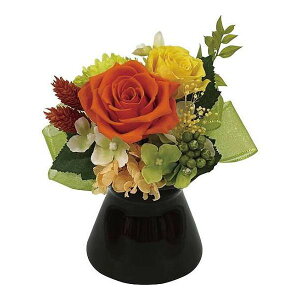 �ʉ�(�v���U�[�u�h�t�����[) bc-13571-OR(����s��)�y�|�C���g10�{�z�y���������z