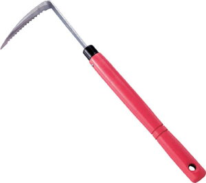 hEJ RR sN  DK695