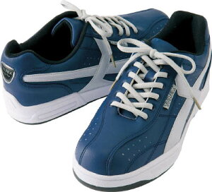 ACgX Z[teBV[Y lCr[EVo[ 25D5 51622BSV255yz