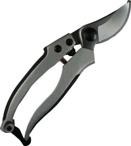 DAISHIN EG A~_CLXgDX 502099