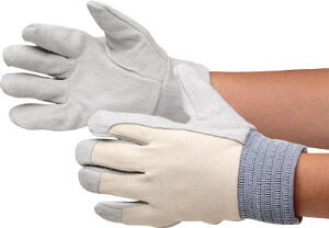 ~hS v b MT|104D MT104D