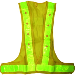 ~YPC LOTCYLEDSxXg / 5916516